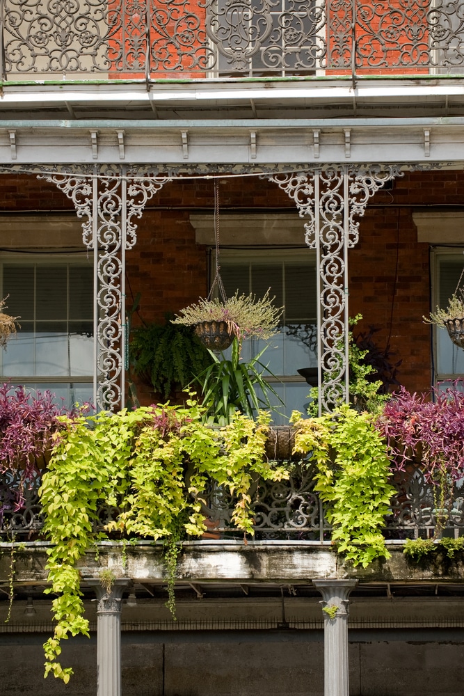 House,Gallery,With,Exquisite,Ironwork,In,French,Quarter,,New,Orleans