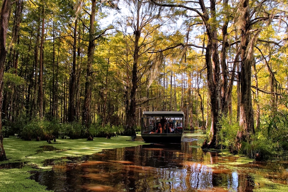 New,Orleans,,Usa,-,August,31,,2019:,A,Swamp,Tour