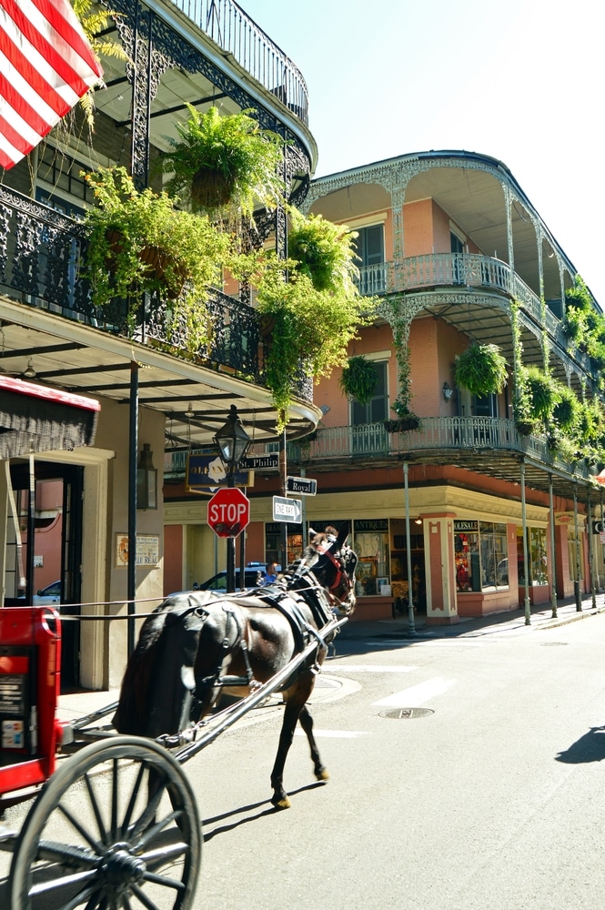 New,Orleans,,La,Usa,June,8,,2017,A,Horse,Drawn